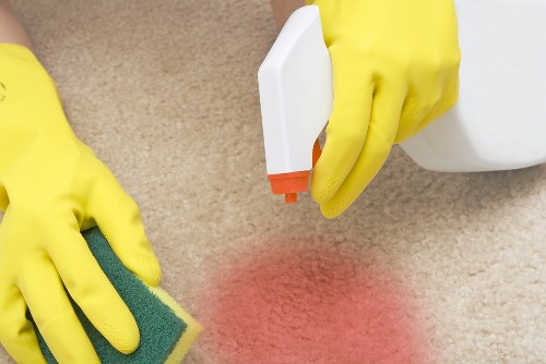 Professional carpet cleaning service in a rental property